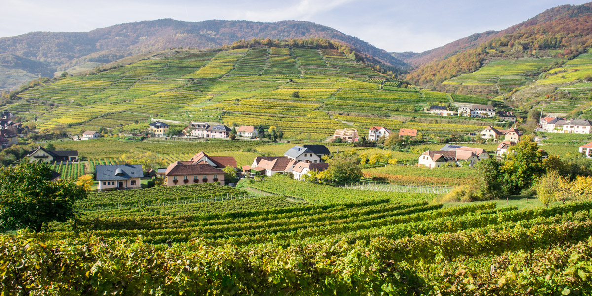 Romantikurlaub im Burgenland