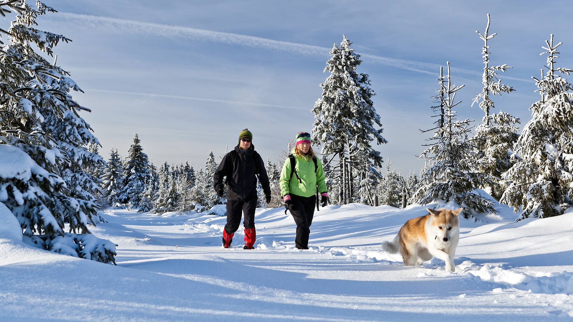 Kuschelurlaub in den Bergen